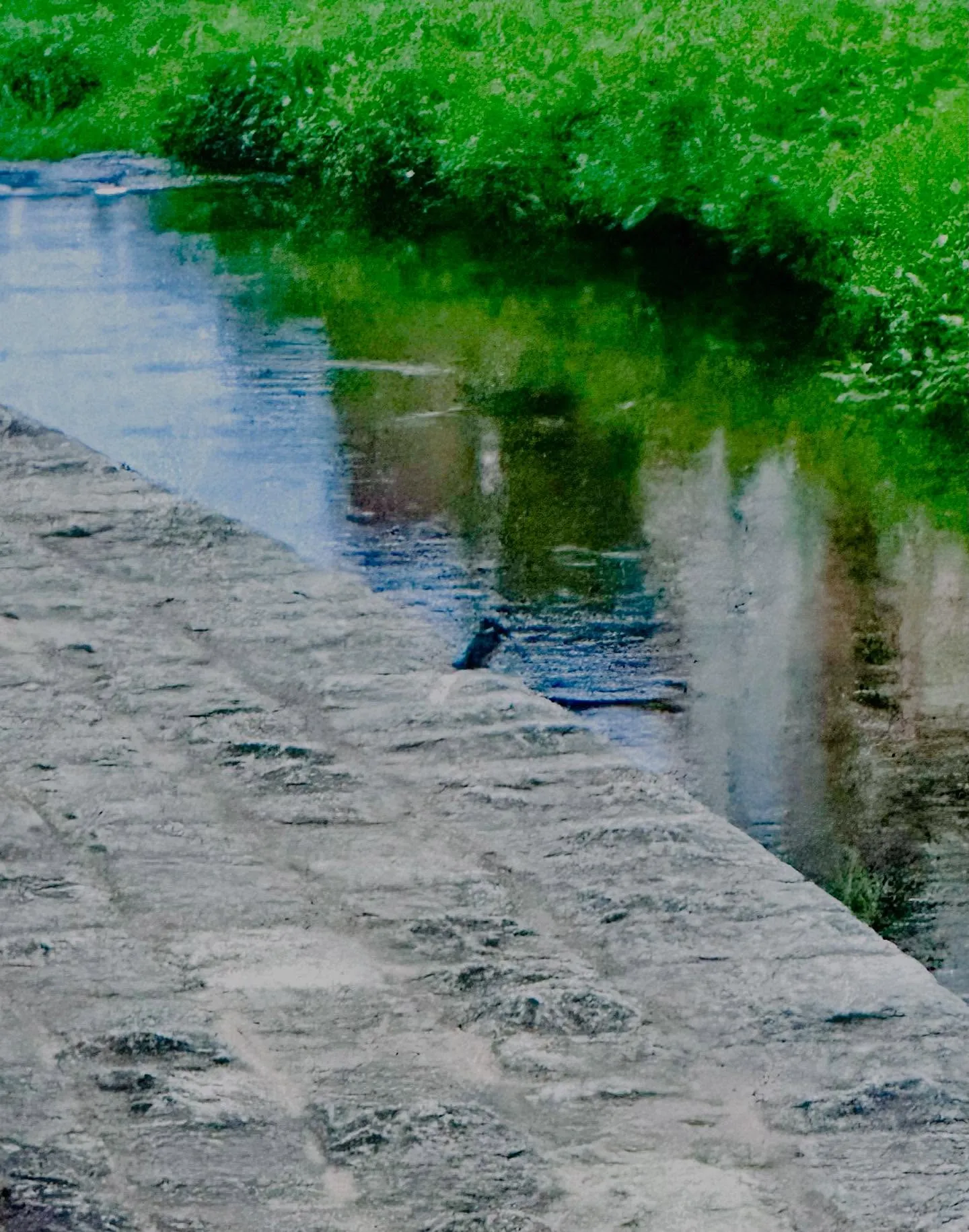 皆さまお久しぶりでございます。